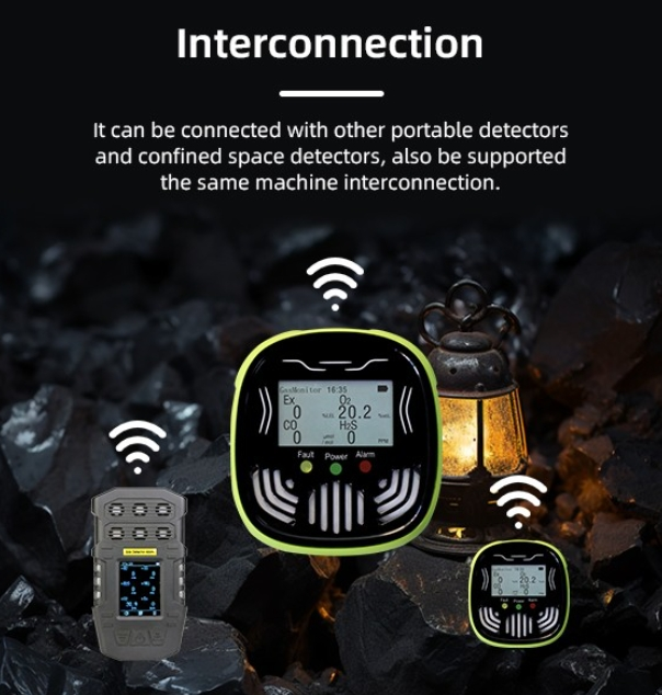 4-in-1 Gas Detector
