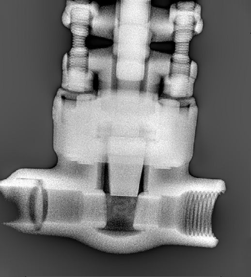 PX3 radiographic image of a valve assembly