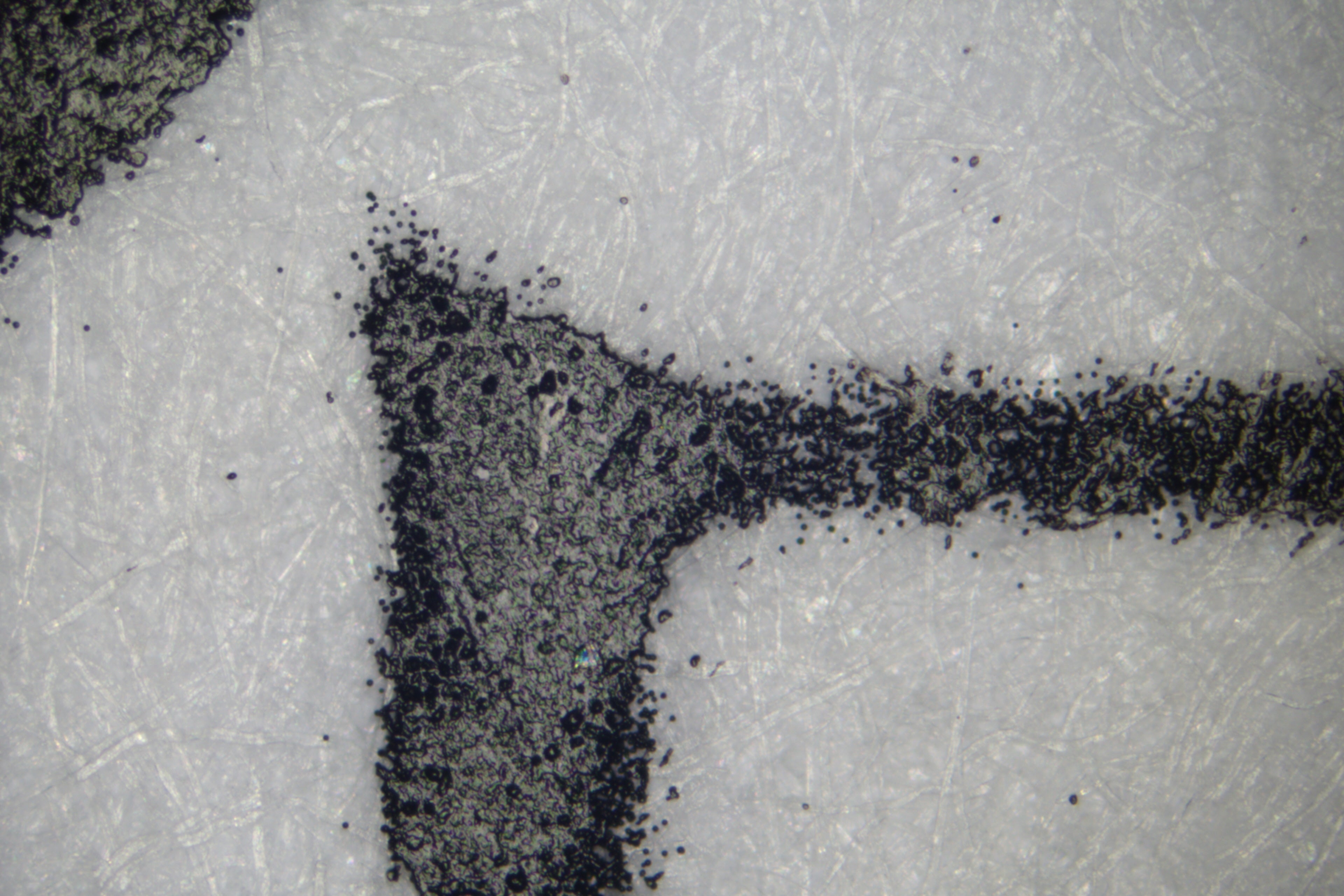 Dehao|Vf10 Video|Microscope|Questioned Document Examination Dehao